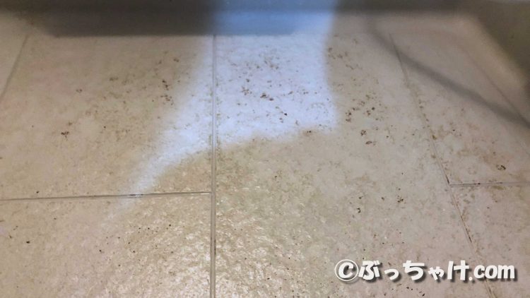浴室床の汚れた状態